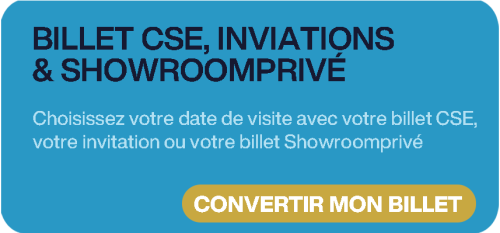 PREVENTE CSE, INVITATIONS & SHOWROMMPRIVE