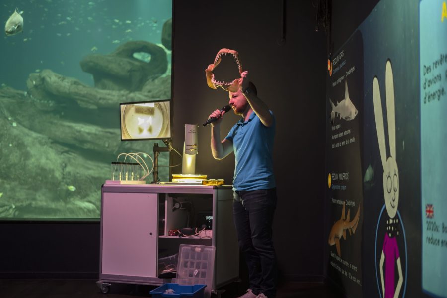 le monde des requins - Aquarium de Paris 2