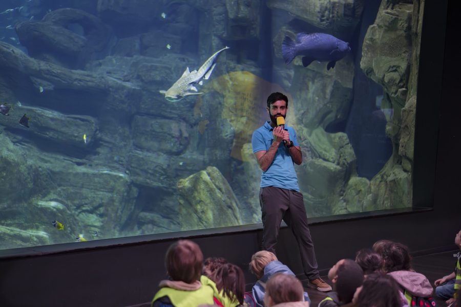 le monde des requins - Aquarium de Paris 3